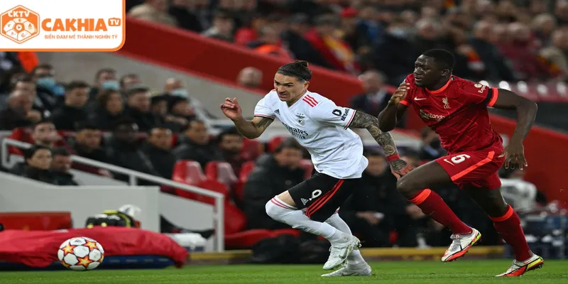 Primeira Liga Bồ Đào Nha Và Sức Hút Mãnh Liệt Tại CakhiaTV 1 Các cột mốc lịch sử trong hành trình phát triển của giải đấu